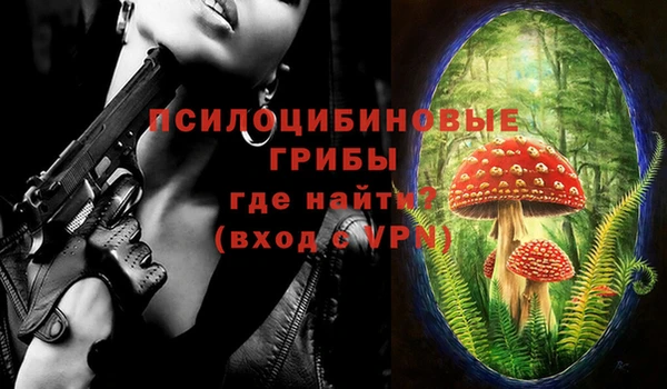 гидропоника Арсеньев