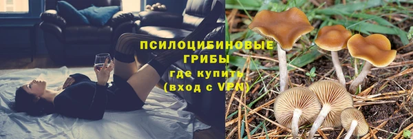 mdpv Аркадак