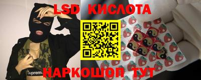PSILOCYBIN Краснознаменск