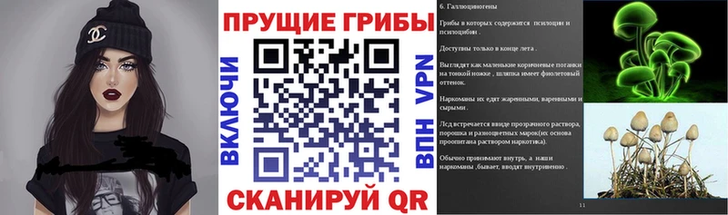 OMG зеркало  Гурьевск  Галлюциногенные грибы ЛСД  продажа наркотиков 