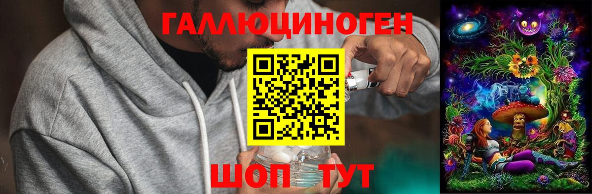 Псилоцибиновые грибы GOLDEN TEACHER Гурьевск
