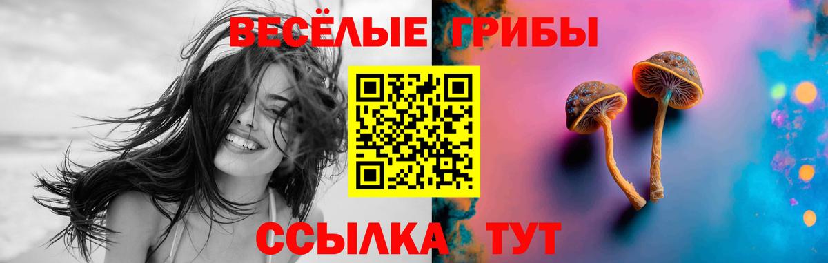 Псилоцибиновые грибы ЛСД  Вход с VPN  Гурьевск 