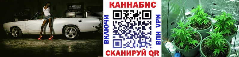 сколько стоит  Гурьевск  Конопля марихуана 